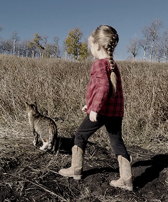 child and cat walking in field