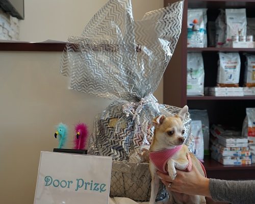 Door prize winner