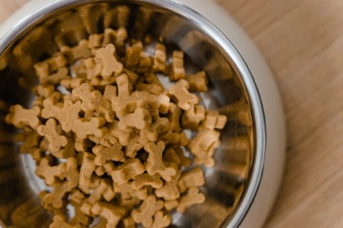 6 Things To Consider When Buying Pet Food