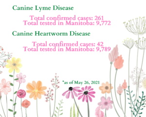 Statistics, Lyne, Heartworm, Canine, Test