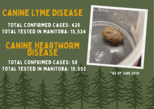 Lyme, Canine, Disease, 4DX, heartworm, heart, worm, manitoba, cases